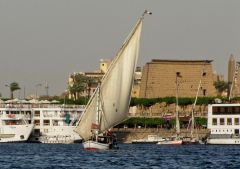 Tapeta Egypt 113.jpg